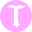 tippercampus.com favicon